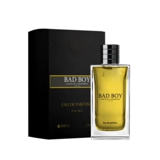 ادوپرفیوم مردانه 100 میل BAD BOY
